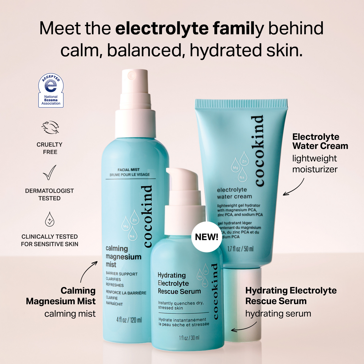 electrolyte family bundle product image 2